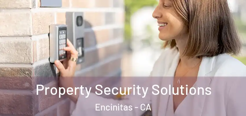  Property Security Solutions Encinitas - CA